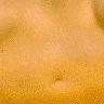 Navel  4