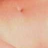 Navel 24