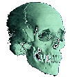 picture of a green skull
